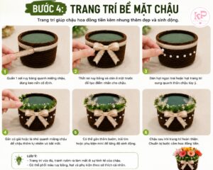 Cách Làm Chậu Hoa Đồng Tiền Kẽm Nhung Đẹp, Đơn Giản Và Tiết Kiệm Tại Nhà