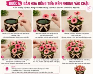 Cách Làm Chậu Hoa Đồng Tiền Kẽm Nhung Đẹp, Đơn Giản Và Tiết Kiệm Tại Nhà