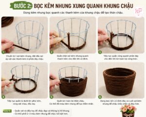 Cách Làm Chậu Hoa Đồng Tiền Kẽm Nhung Đẹp, Đơn Giản Và Tiết Kiệm Tại Nhà