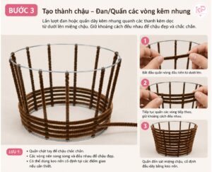 Cách Làm Chậu Hoa Lan Bằng Kẽm Nhung Đẹp